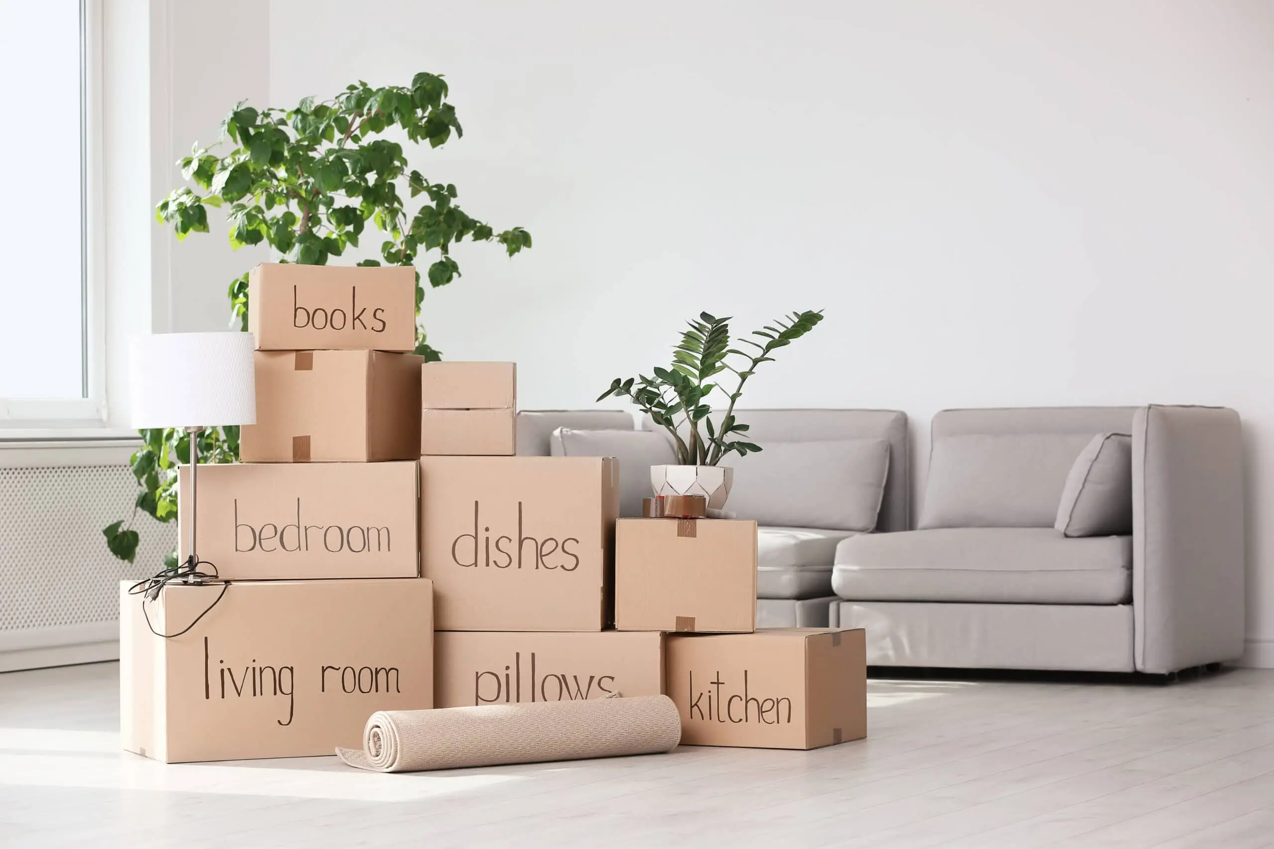 Spring cleaning made simple